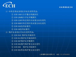 慧訊網產品技術賦能，上海洗霸與網絡技術深度融合解析